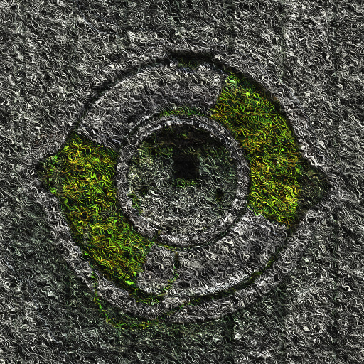 Variation 6