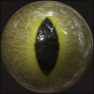 Cat Eyes