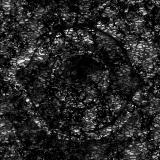 Bump Map