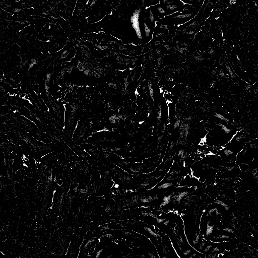 Reflective Occlusion Map
