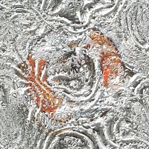 Variation 5