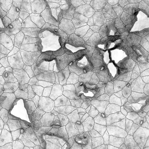 Ambient Occlusion Map