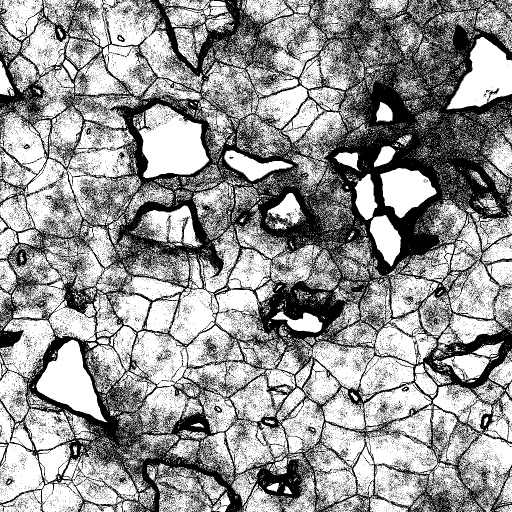 Reflective Occlusion Map