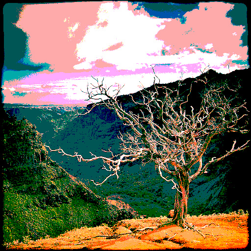 Variation 1