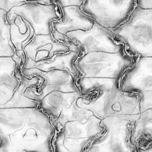 Ambient Occlusion Map