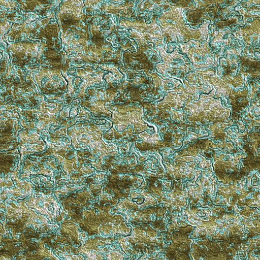 Variation 5