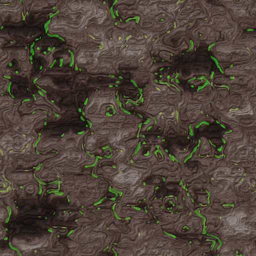 Variation 7