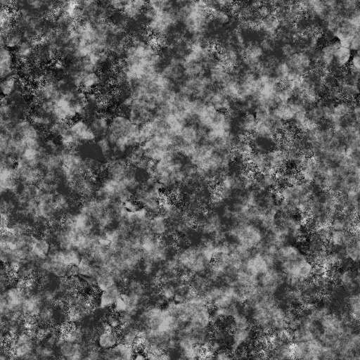 Bump Map