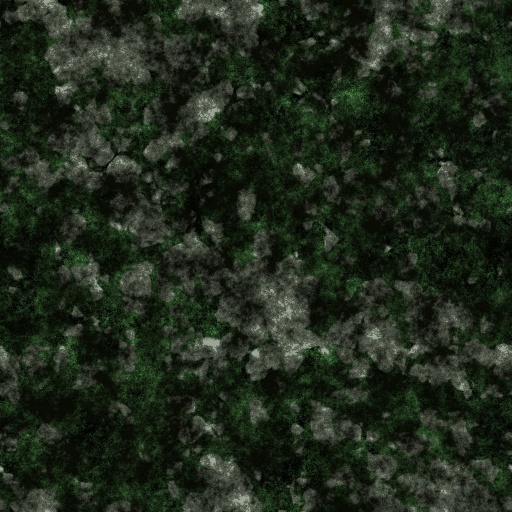 Variation 8