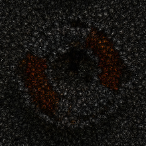 Variation 1