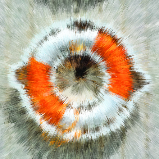 Variation 8