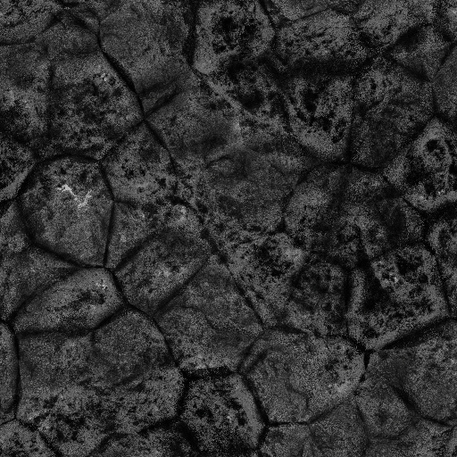 Ambient Occlusion Map