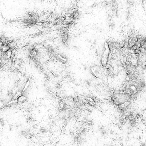 Ambient Occlusion Map