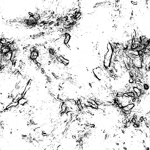 Reflective Occlusion Map