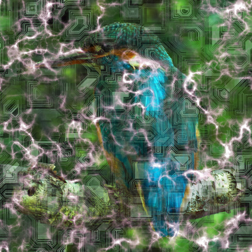 Variation 8