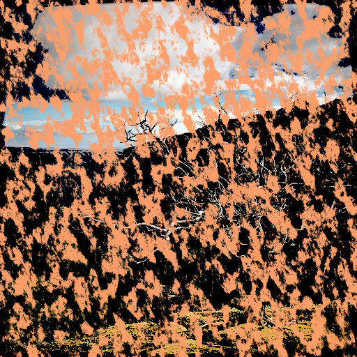 Variation 2