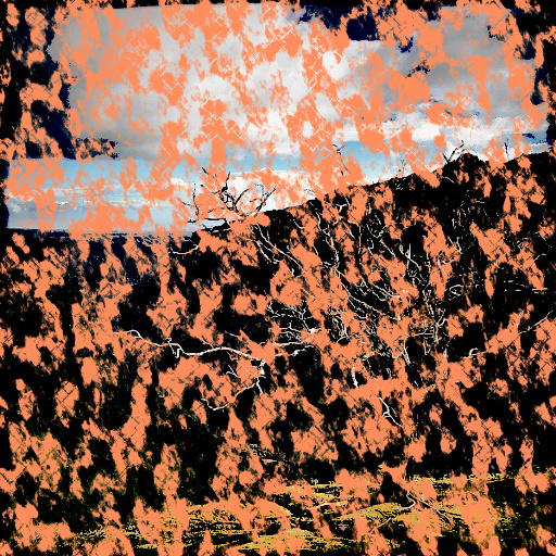 Variation 7