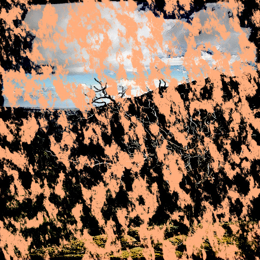 Variation 8