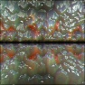 Crystal World 3