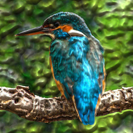 Variation 3