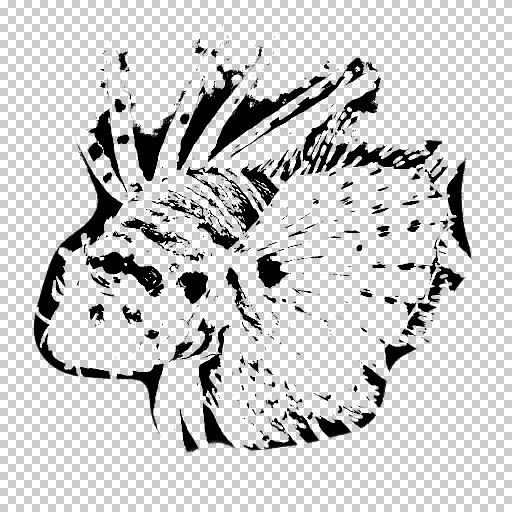 Variation 6