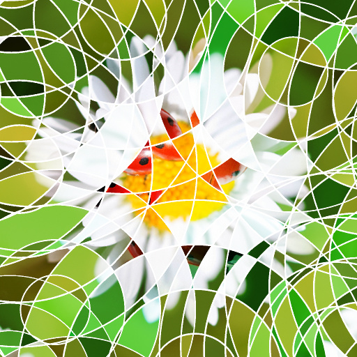 Variation 6