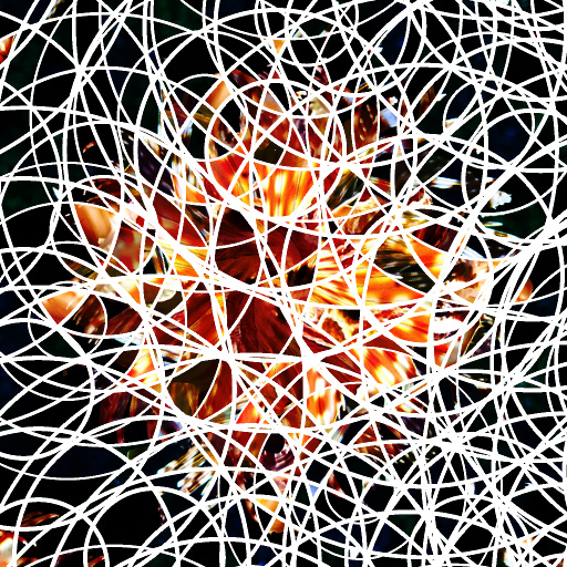 Variation 7