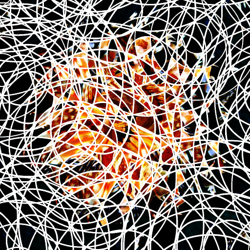 Variation 8