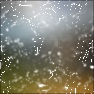 Plexus