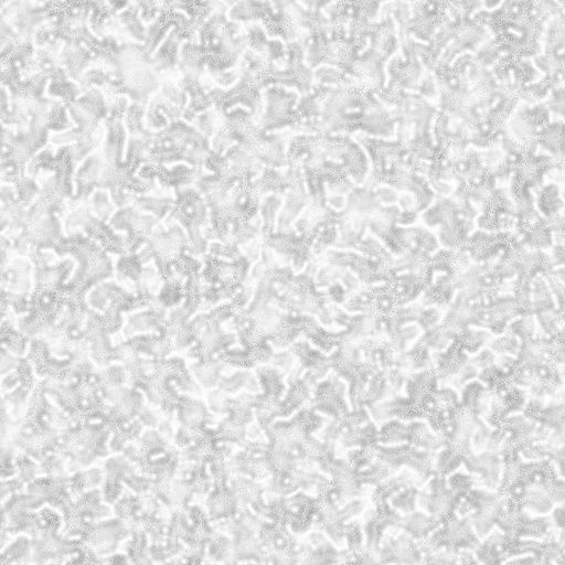Ambient Occlusion Map
