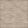 Beach Dune