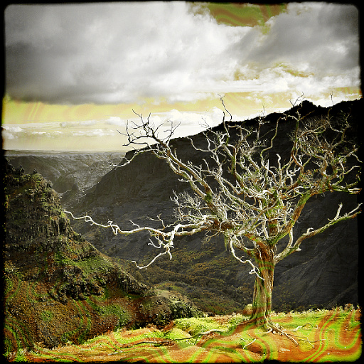 Variation 7