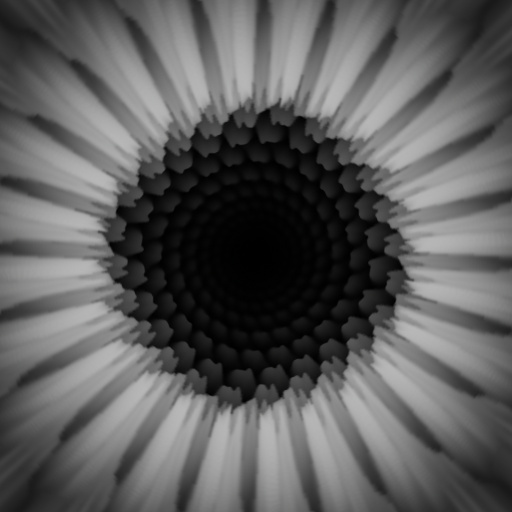 Bump Map