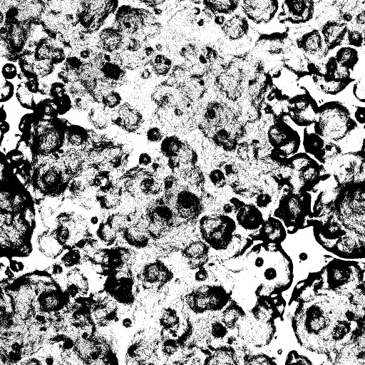 Reflective Occlusion Map