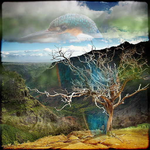 Variation 3