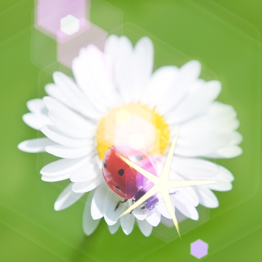 Variation 8
