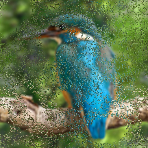 Variation 1