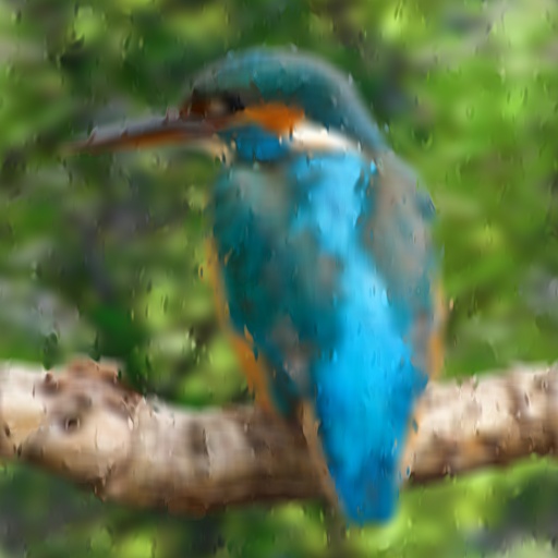 Variation 6