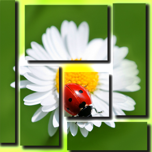 Variation 1