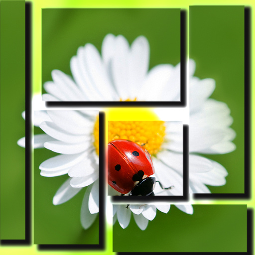Variation 2