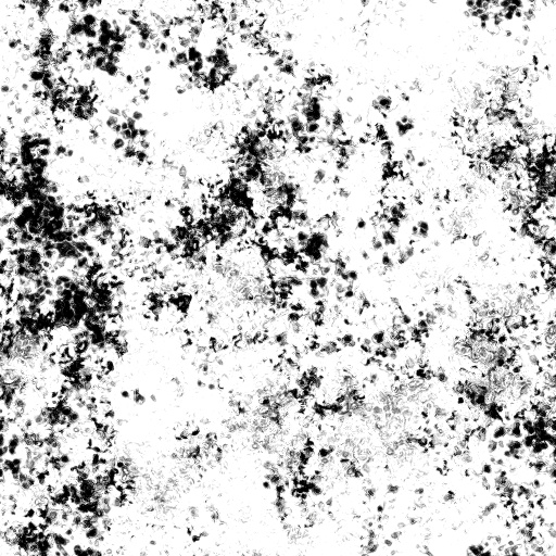 Ambient Occlusion Map