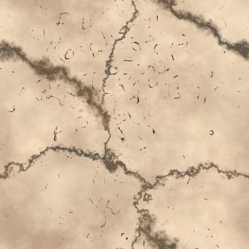 Variation 5