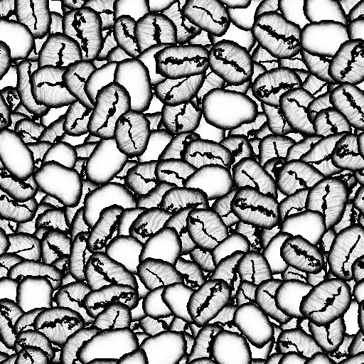 Ambient Occlusion Map