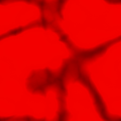Diffuse Map