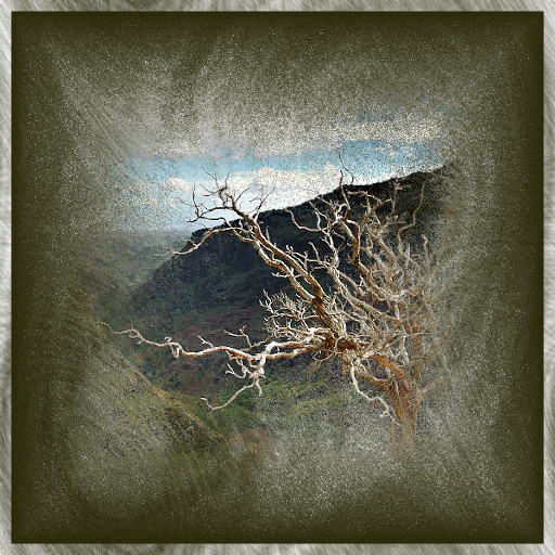 Variation 5