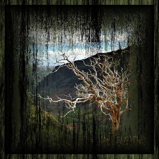 Grunge Drip Frames (Effect)