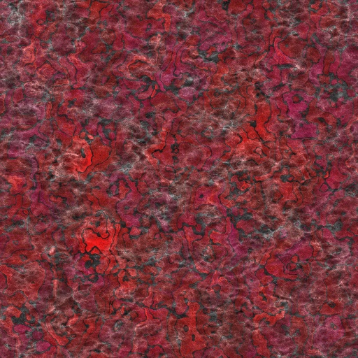 Variation 8