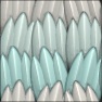 Shark Scale