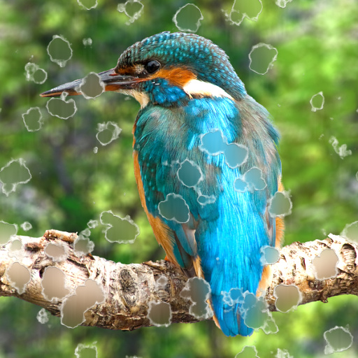 Variation 3