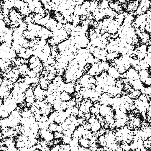 Ambient Occlusion Map